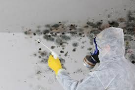 Best Mold Prevention Services  in Mount Gilead, NC